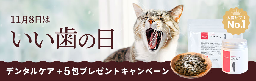 【限定販売】11/8は「いい歯の日」人気No.1「デンタルケア」サプリメント◎5包増量（590円相当）