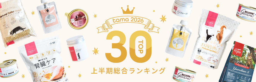 上半期人気ランキング2026（総合）