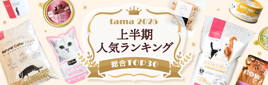 上半期人気ランキング2025（総合）