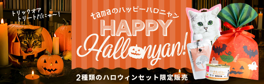 ハロウィン限定パッケージ入りオヤツ＆サイドメニューセット