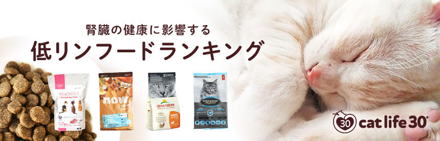 【cat life 30?特集】腎臓の健康のために知っておきたい「リン」について《低リン》フードランキング