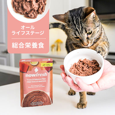 ナウフレッシュ レトルトパウチ グレインフリー ツナ&サーモンパテ 71g