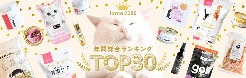人気ランキング2024★総合