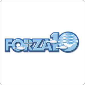 【10位】「フォルツァ10 CAT プレミアム ナチュラルグルメ缶」シリーズ