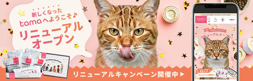 新しくなったtamaへようこそ◎より探しやすく、より選びやすくなりました