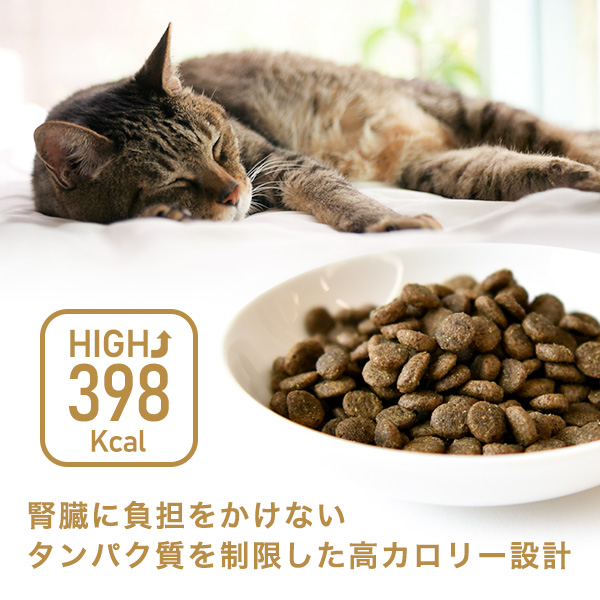 高カロリー