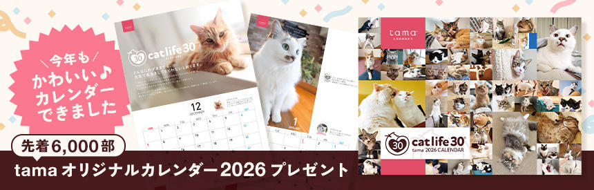 【先着6,000部】かわいいがいっぱい◎tamaオリジナルカレンダー2026プレゼント