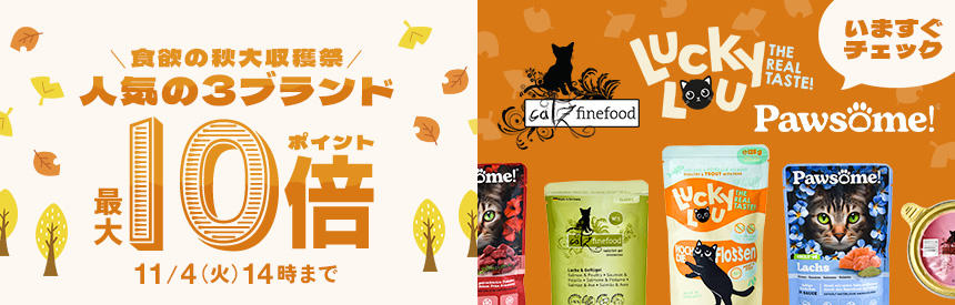 【11/4(火)14時まで】食欲の秋を満たす大収穫祭★人気ブランド《ポイント最大10倍》