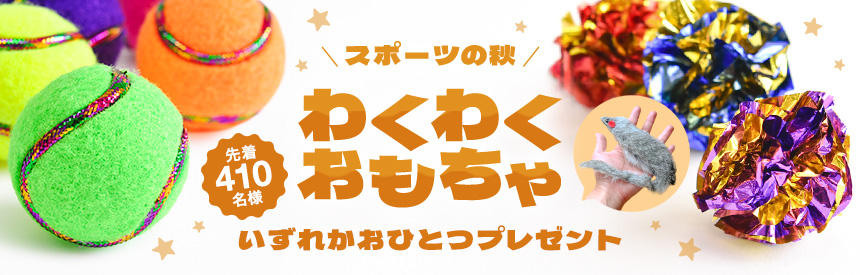 【先着410名様】スポーツの秋◎テニス？ハンティング？わくわくオモチャプレゼント