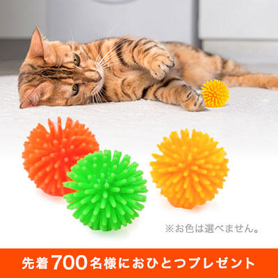 猫の前足はお手々でもあるので前足でのキックは厳密には、ハンドになるかもしれません。