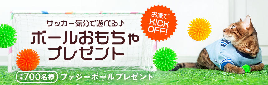 【先着700名様】お家でキックオフ！サッカー気分で遊べるボールおもちゃプレゼント