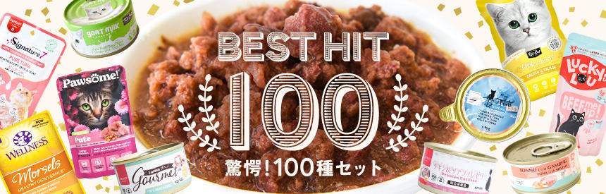 【限定販売】今年もご用意しました◎恒例の驚愕！！「ベストヒット100」