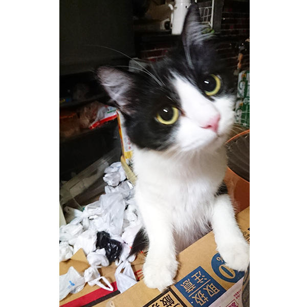 「私じゃないから♪」とでもおっしゃりたいのでしょうか。かわいいイタズラをした子は抱きしめちゃうぞ～。