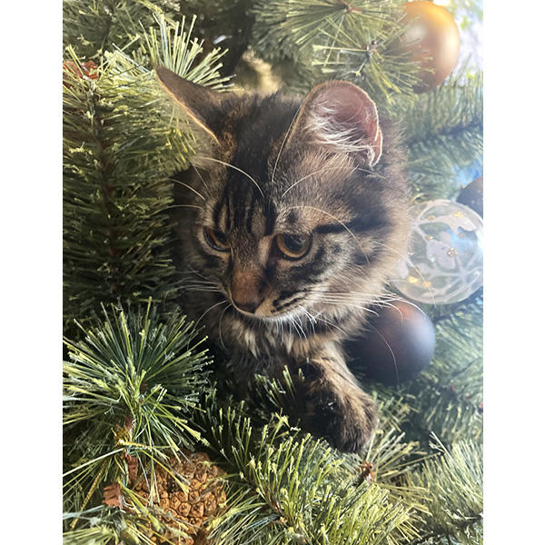 無自覚にかわいいという点が天性のアイドル要素ではないでしょうか。