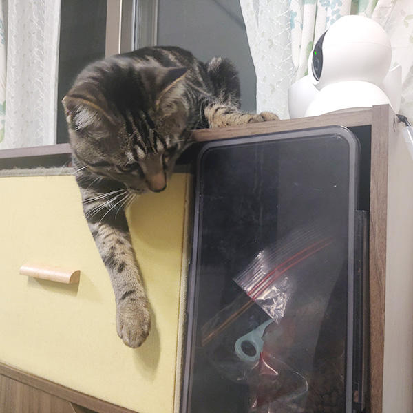 スーパーハッカーとしての実力を発揮。