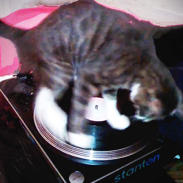 まさに、DJ中のクロエくん。クロエくんのパフォーマンスでフロアは笑顔であふれかえっています♪