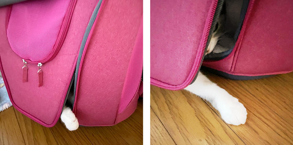 こらー♪かわいいお手々が見えてるぞー。