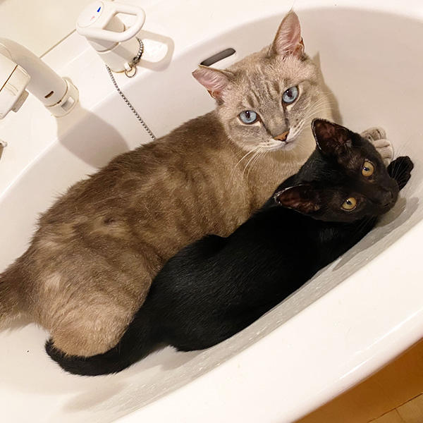 寝ることもなく、生きているよろこびを表現中。とにかく元気な姿に、ご家族も元気をもらっちゃいますね♪