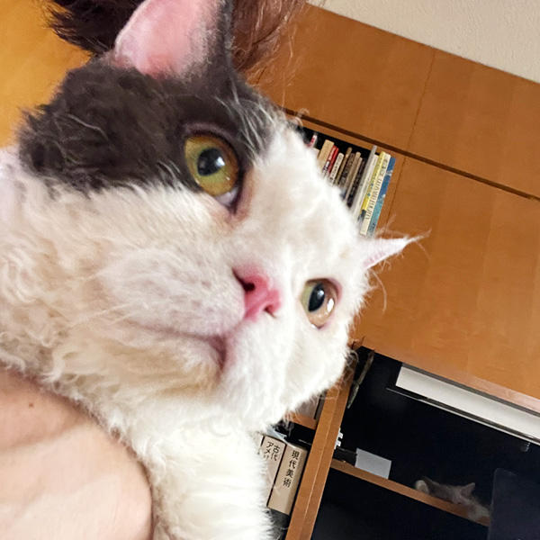 ママとのコミュニケーションが大好きなアリスタちゃんとラムちゃん。しっかり絆ができている証ですね♪