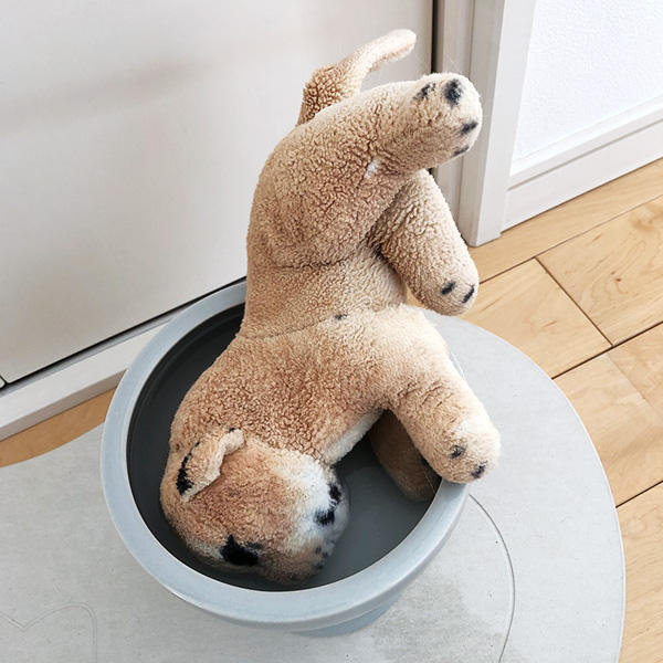 ご覧ください。こちらが現場の写真です。