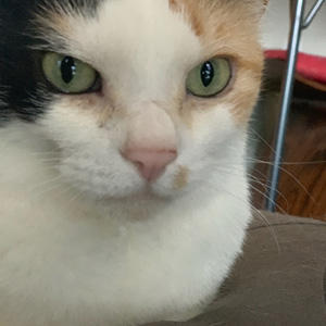 令和も気品高く美しく。令和最初のムーちゃんショット