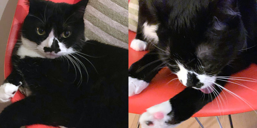 アラフィフになったからには、本格的にダンディーに磨きをかけるであります！