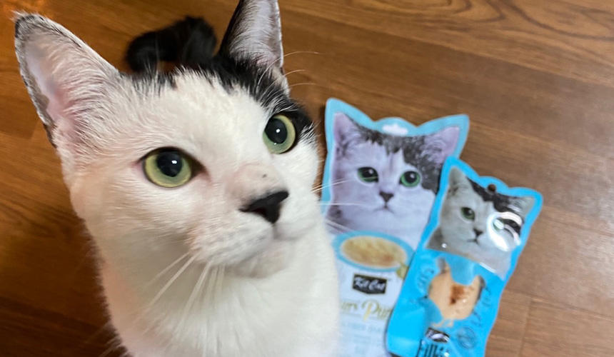 先輩スタッフと一緒に暮らすバンちゃんです。