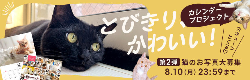 【8月10日(月)まで】カレンダープロジェクト◎第2弾「とびきり、かわいい！」猫のお写真大募集