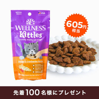 【11,000円以上のお買い物で】「ウェルネス」ひと口オヤツ（605円相当）プレゼント