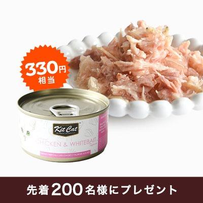 【8,800円以上のお買い物で】キットキャット（330円相当）プレゼント