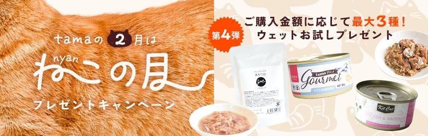 【2月は猫の月】プレゼント第④弾◎3,300円以上のお買物～プレゼント（合計778円相当）お試しウェットフードプレゼント
