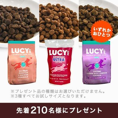 【7,700円以上のお買い物で】「ルーシーペット」お試しドライフード★たっぷり200gプレゼント