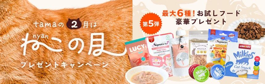 【2月は猫の月】プレゼント第五弾◎全員プレゼントも！《全6種類》合計2,601円相当のお試しプレゼント