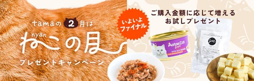 【2月は猫の月】プレゼントファイナル◎3,300円～（合計1,141円相当）お試しプレゼント