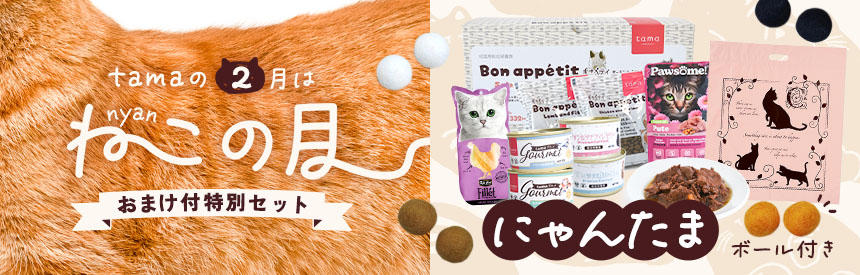 【限定販売】猫が夢中で追いかける「にゃんたま(ω)ボール」付き◎特別セット《2種類》