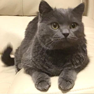 ちょいワルな表情の次に見せてくれた無邪気な表情に審査員も脱帽!そして、団選手は『ボナペティ』を美味しく食べてくれているとのこと。団選手の体作りと健康にお役に立てるなんて、本当にうれしいです。ありがとうございます。