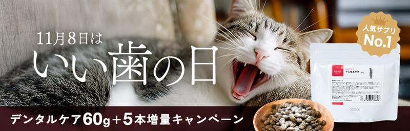 【限定販売】11/8は「いい歯の日」人気No.1「デンタルケア」サプリメント◎5本増量（590円相当）