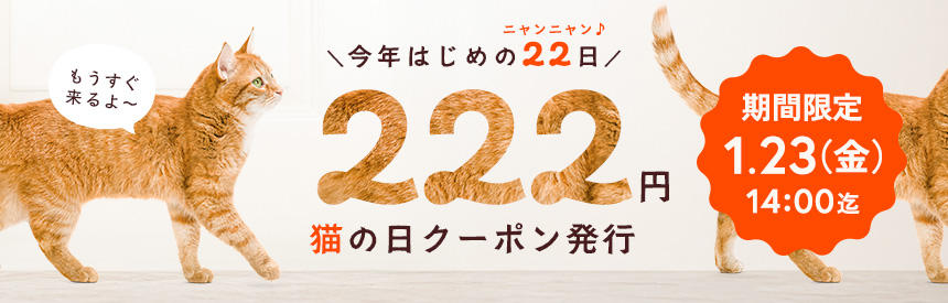 【1月23日(金)14時まで】今年最初の22日（=･ω･=）222円クーポン発行