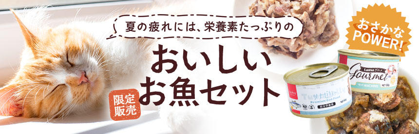 【限定販売】お魚パワーで夏を元気に乗り切ろう◎おいしいお魚セット