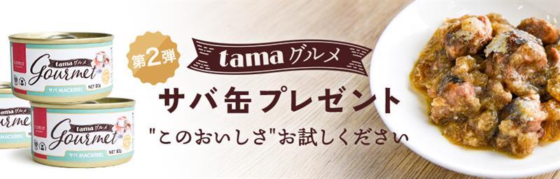 【先着500名様】