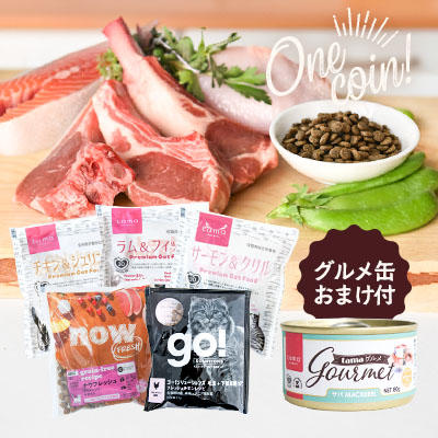 生肉からつくるおいしさ お試し5種セット / 500円