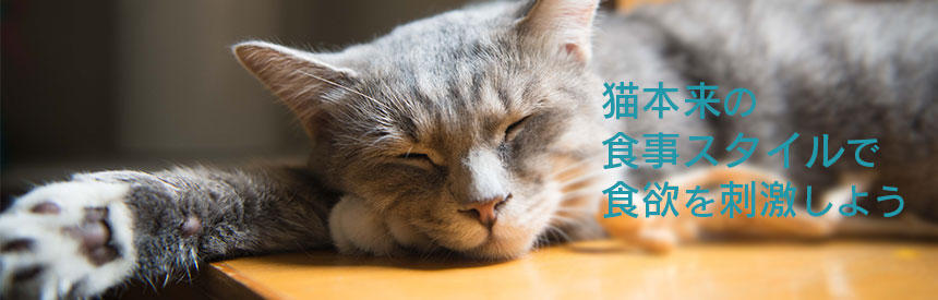 食欲がない…そんなときは、もしかして。