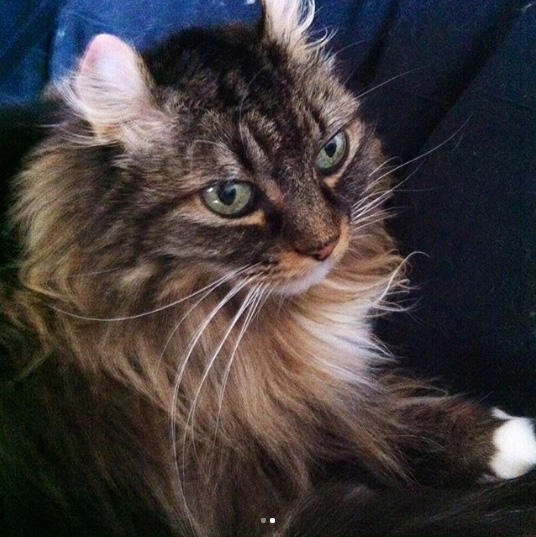 抱っこタイムを満喫するナナ♪