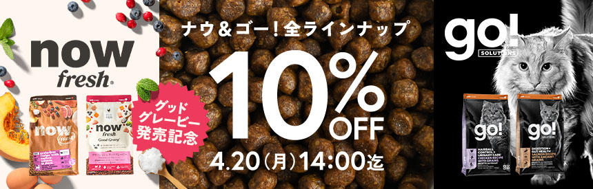 【4/20(月)14時まで】グッドグレービー発売記念◎ナウフレッシュ＆ゴー！《全商品》10％オフ