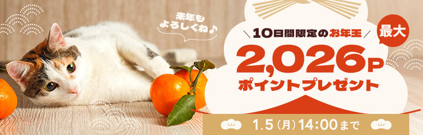 【1/5(月)14時まで】10日間限定◎お年玉《最大2026ポイント》プレゼント