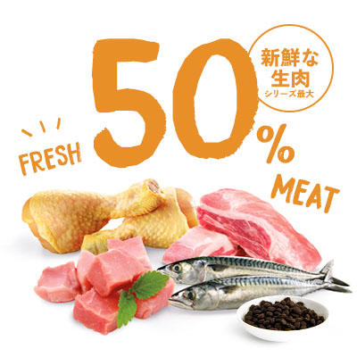 生肉をメインに使ったフードのおいしさは別格であることをスタッフ猫の食いつきで実感しました。