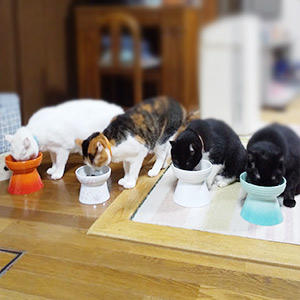 大家族に嬉しいボリュームパックのフォトレビュー!賑やかで楽しそうなごはんタイムですね~。消費量が多めのご家族には断然ボリュームパックがオススメです。