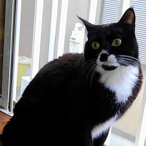 ムムッ。なんだか仲間意識が芽生えるお顔立ちであります。元気になってくれて本当に良かったであります!(byゴロー)