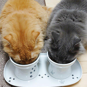 仲良くご飯を楽しむ双子ちゃんのキュートなショット♪小分けタイプだからこそ実現した、50gからの販売も行っております！