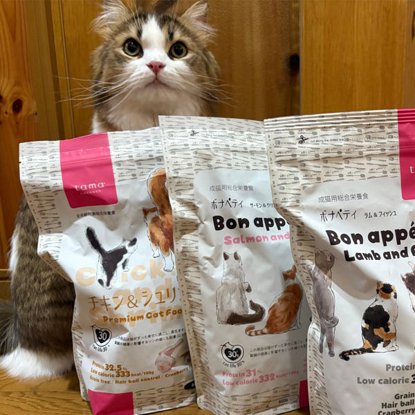 なんと、うれしいレビュー。こちらこそありがとうございます。